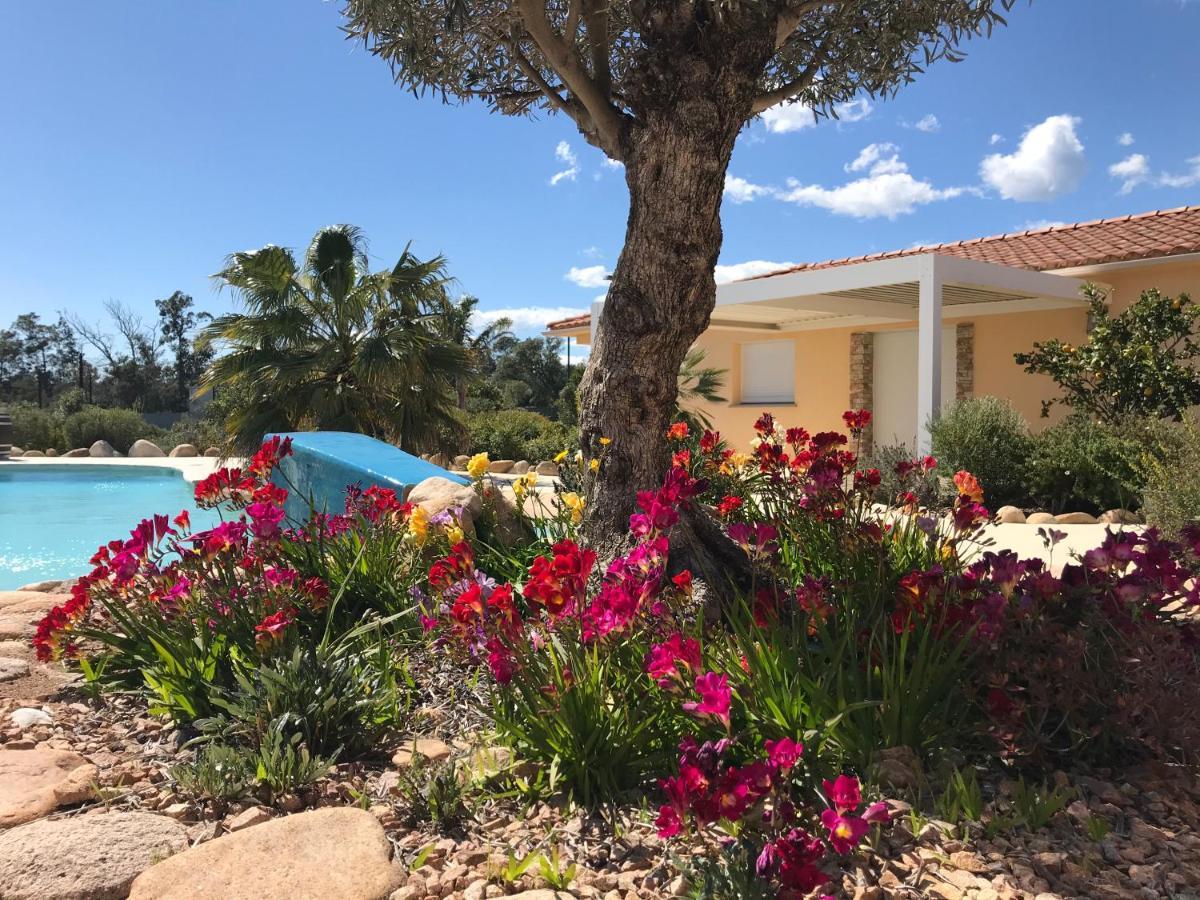 L'Hacienda Piscine Chauffee A 28, Spa, Boulodrome Et Court De Tennis Prives, 2 Villas Independantes ポルトヴェッキオ エクステリア 写真